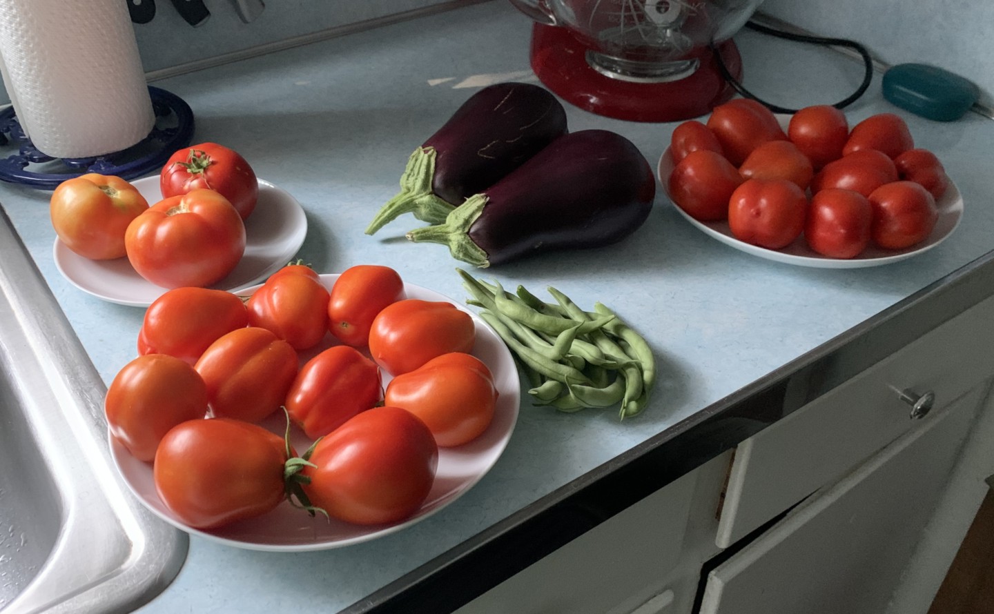 the vegitables of our labor