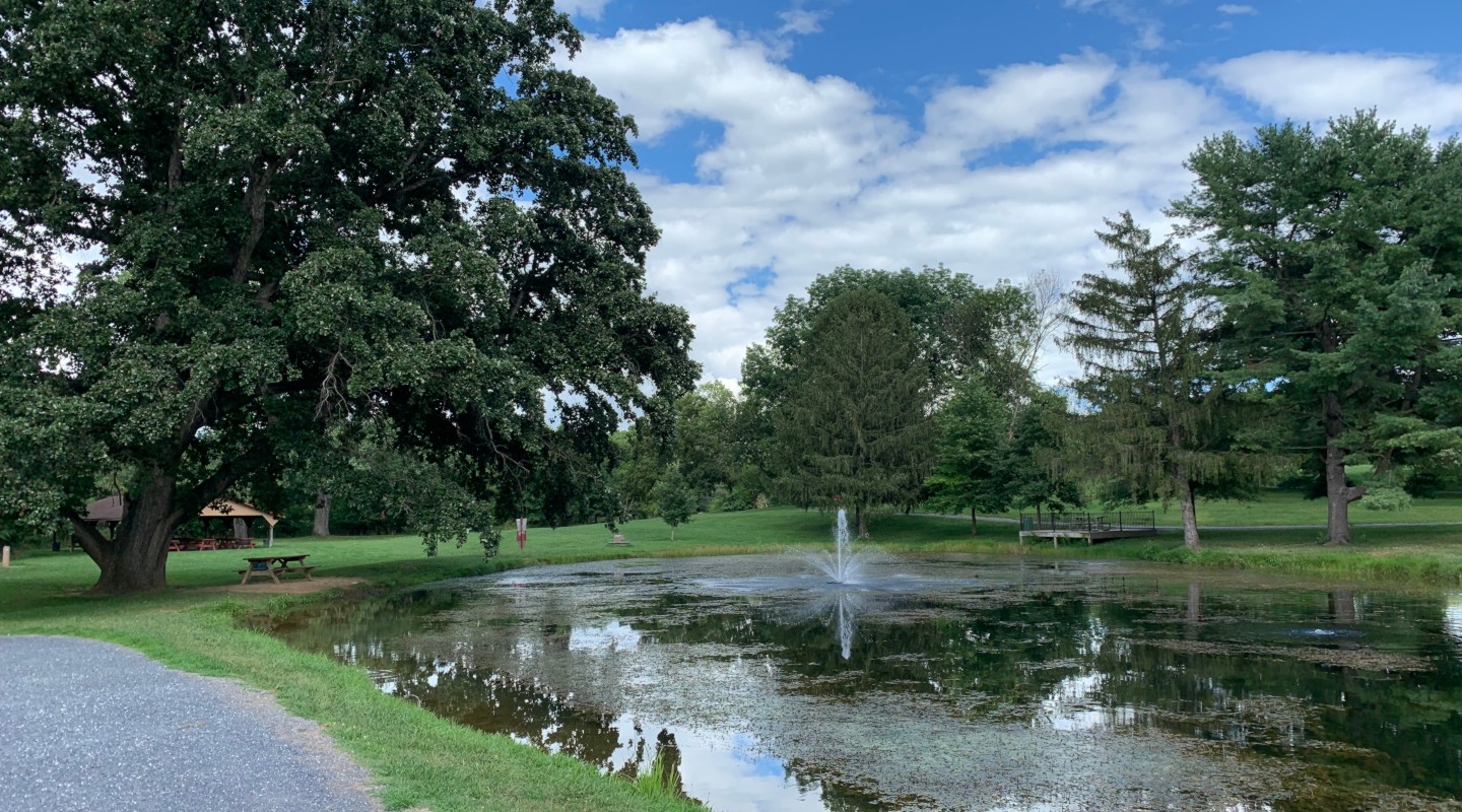 The pond at Purcell Park